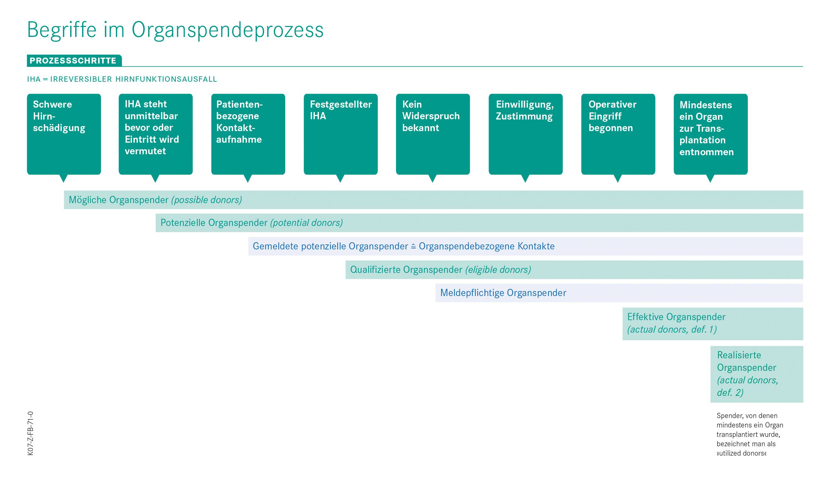 Begriffe im Organspendeprozess